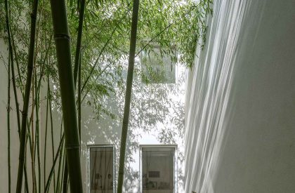 Forest Villa | HAS Design and Research