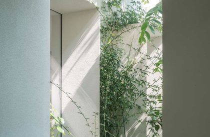 Forest Villa | HAS Design and Research