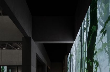 OEZER Showroom | CUN Design