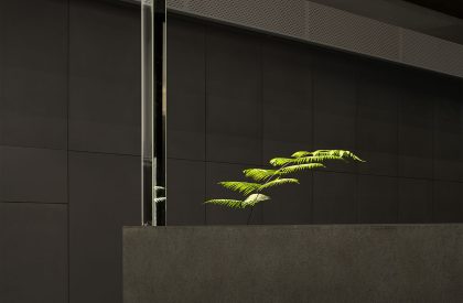 OEZER Showroom | CUN Design