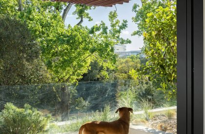 Park House | Paulo Martins Arquitectura