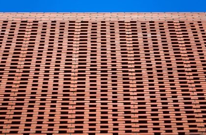 Wasp House | Tropical Space