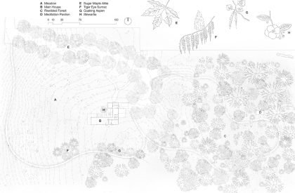 Whidbey Uparati | Wittman Estes