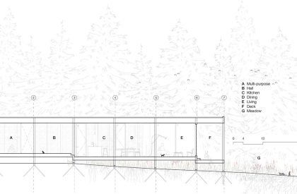 Whidbey Uparati | Wittman Estes
