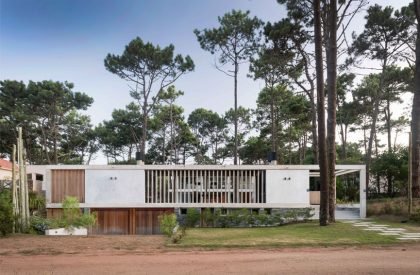 Kozu | Martin Gomez Arquitectos