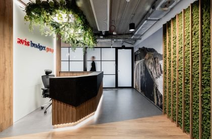 Avis Office | Bit Creative