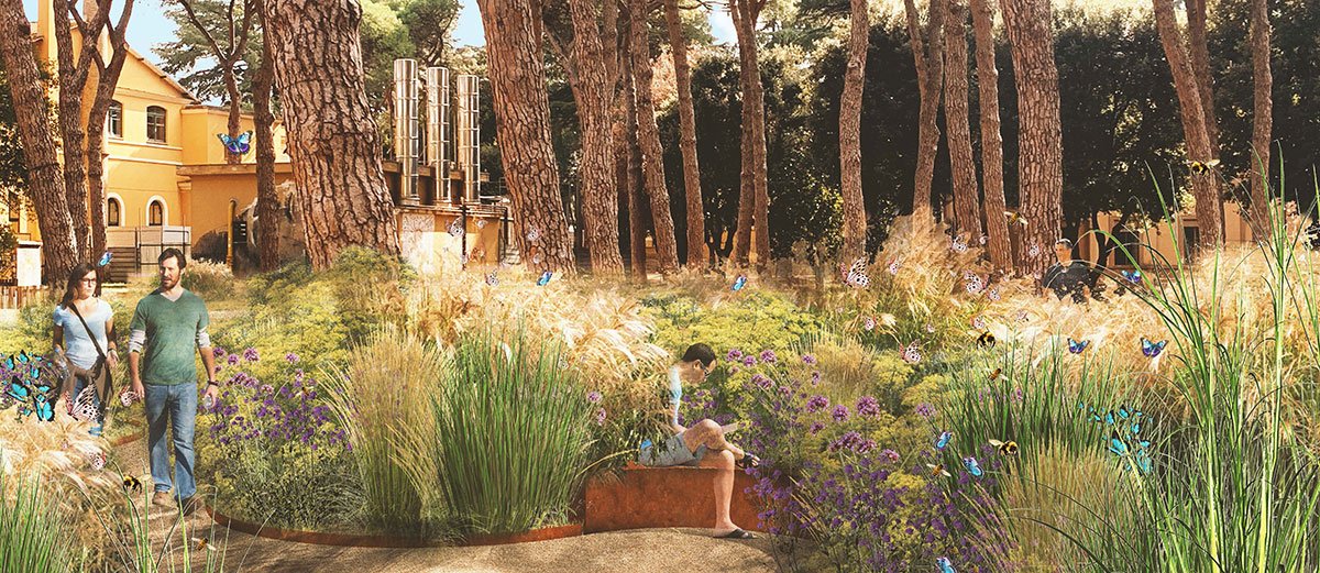 Biodiversity and Care: The new gardens of Santa Maria della Pietà, Rome | Landscape Architecture Thesis