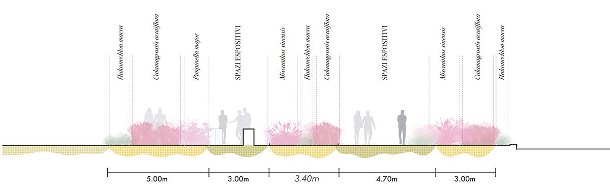 Biodiversity and Care: The new gardens of Santa Maria della Pietà, Rome | Landscape Architecture Thesis