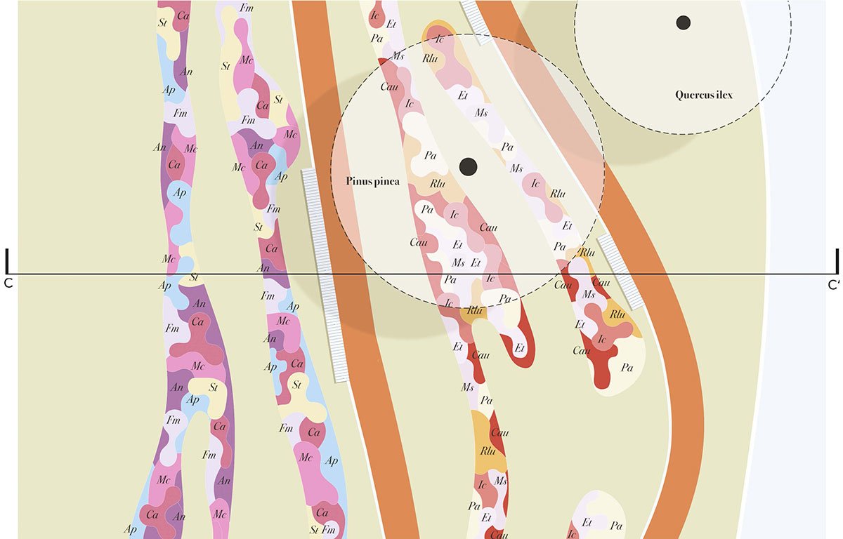 Biodiversity and Care: The new gardens of Santa Maria della Pietà, Rome | Landscape Architecture Thesis