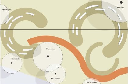 Biodiversity and Care: The new gardens of Santa Maria della Pietà, Rome | Landscape Architecture Thesis