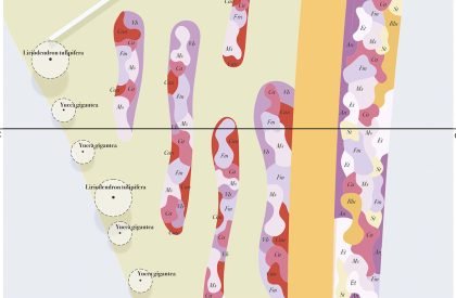 Biodiversity and Care: The new gardens of Santa Maria della Pietà, Rome | Landscape Architecture Thesis