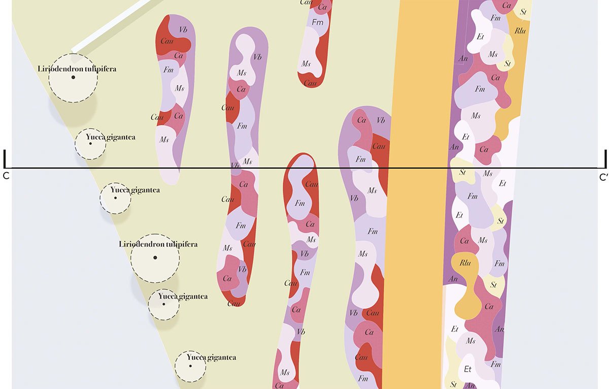 Biodiversity and Care: The new gardens of Santa Maria della Pietà, Rome | Landscape Architecture Thesis