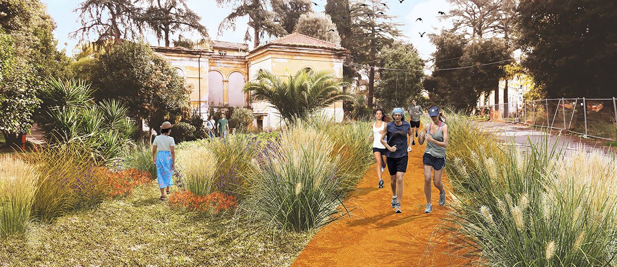Biodiversity and Care: The new gardens of Santa Maria della Pietà, Rome | Landscape Architecture Thesis