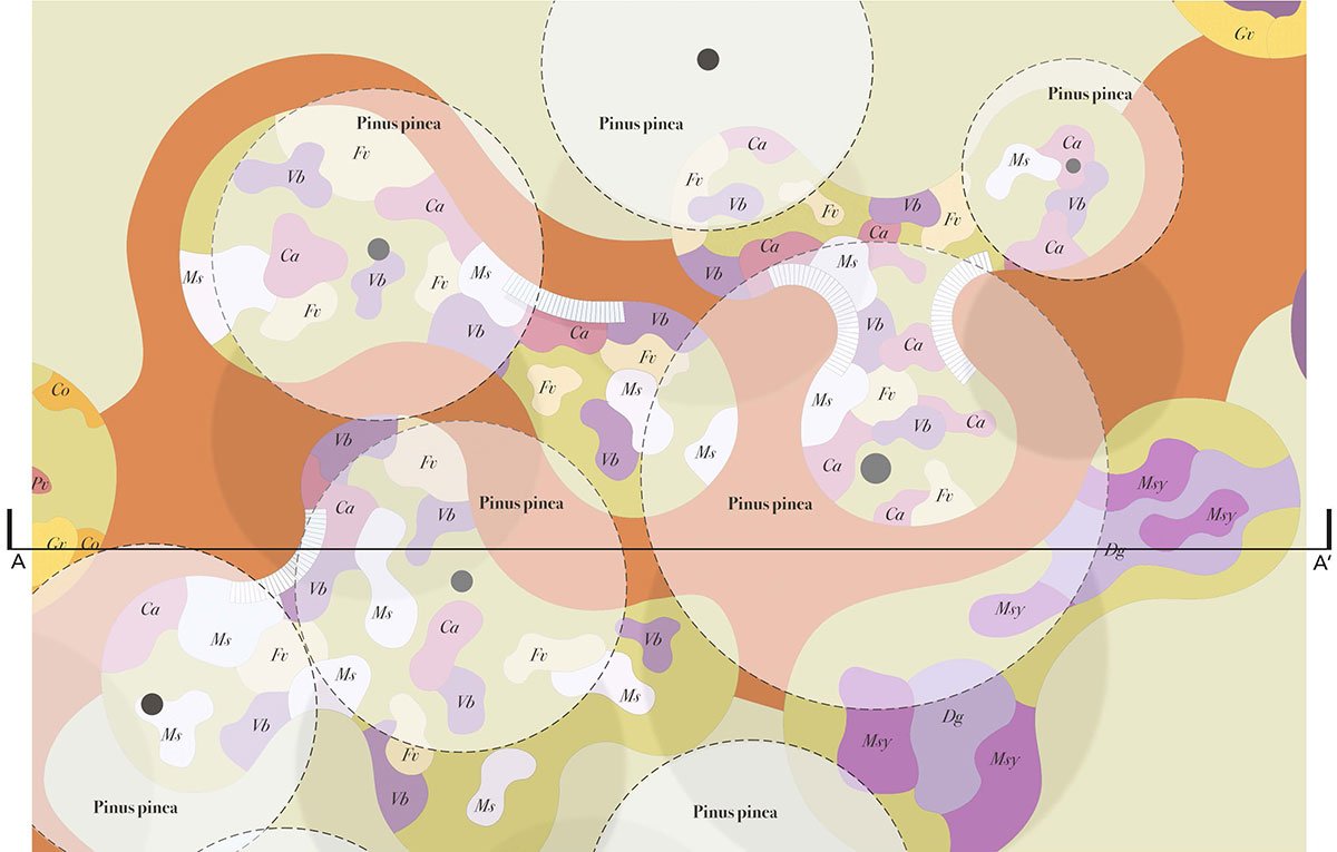 Biodiversity and Care: The new gardens of Santa Maria della Pietà, Rome | Landscape Architecture Thesis