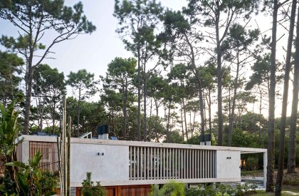 Kozu | Martin Gomez Arquitectos
