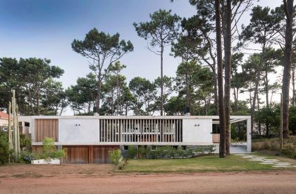 Kozu | Martin Gomez Arquitectos