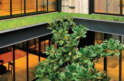 La Magnolia | Martin Gomez Arquitectos