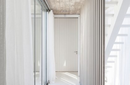 Nautilus | Martin Gomez Arquitectos