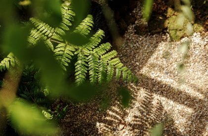 Wood Gallery | TSPACE Design