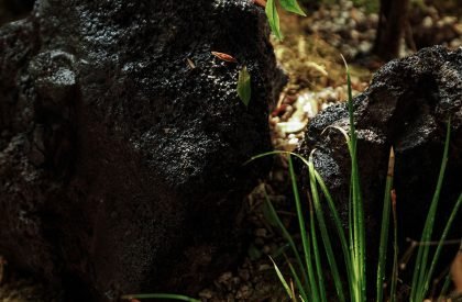 Wood Gallery | TSPACE Design