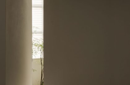 Wood Gallery | TSPACE Design