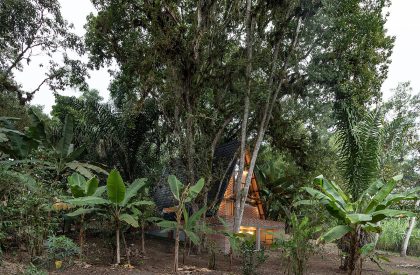 A Shelter in the Forest | Espacio & Luz Architects