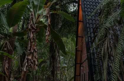 A Shelter in the Forest | Espacio & Luz Architects