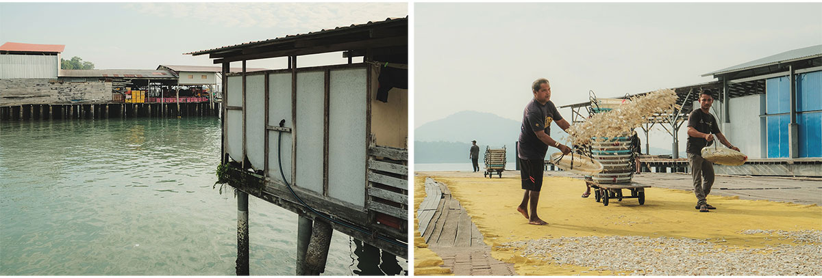 Veil of Tides: A Visitor Centre at Pulau Pangkor, Malaysia | Bachelors Design Project