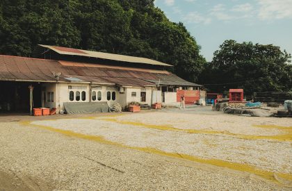 Veil of Tides: A Visitor Centre at Pulau Pangkor, Malaysia | Bachelors Design Project