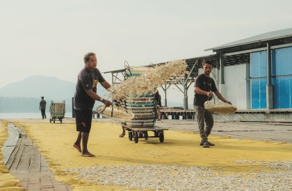 Veil of Tides: A Visitor Centre at Pulau Pangkor, Malaysia | Bachelors Design Project