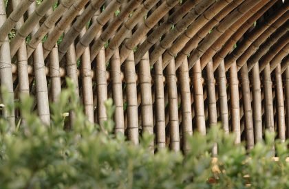 Clear Water Tea House | Behet Bondzio Lin Architekten