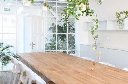 Czech Promotion Offices Vol. 2 | KURZ Architects