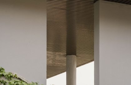 [ZEN] | Mome. Estudio