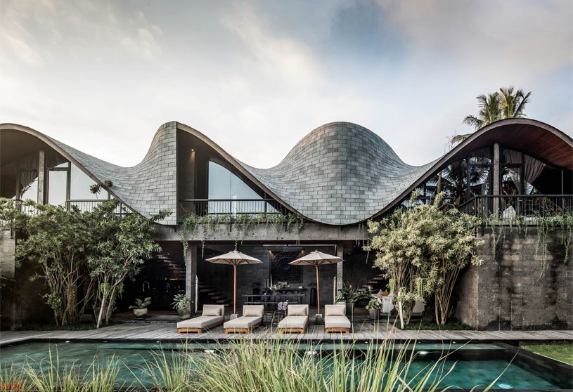 Alpha House | Alexis Dornier