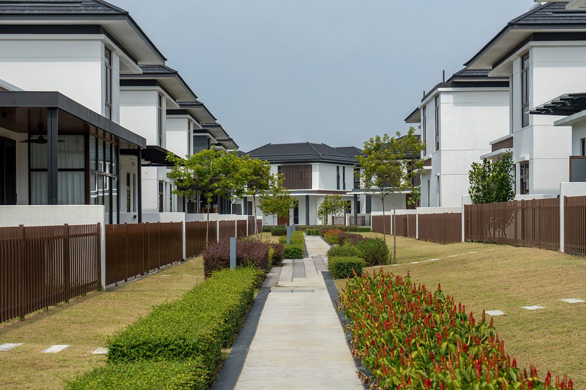 Cora, Eco Ardence | ONG&ONG