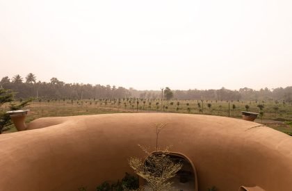 Into The Wild | Earthscape Studio