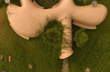 Into The Wild | Earthscape Studio