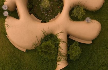 Into The Wild | Earthscape Studio