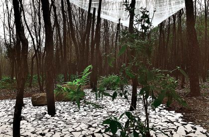 Tangible Scene | HAS design and research
