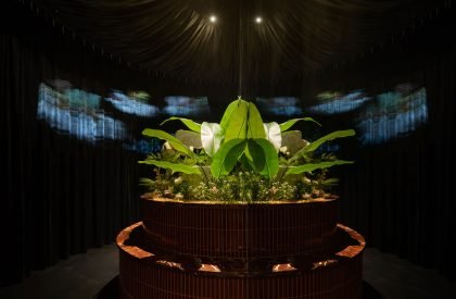 THAIILLUSION | DDDD Creative Company