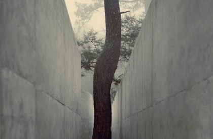 The Hill in Front of the Glen | HW Studio