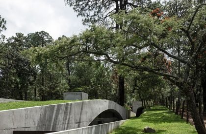 The Hill in Front of the Glen | HW Studio