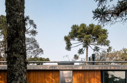 Casa Altos | OSPA Arquitetura & Urbanismo