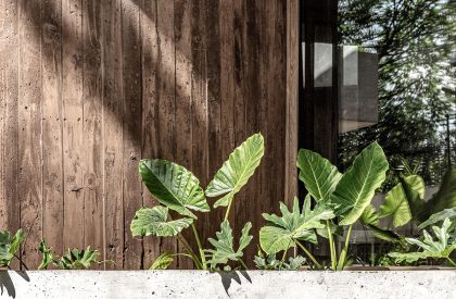 Casa Bosque | Grizzo Studio