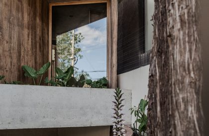 Casa Bosque | Grizzo Studio