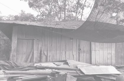 Flexible and Replicable Housing in Montecristo, Bolívar | Architecture Thesis