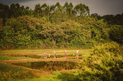 Duling Educational & Cultural Centre | Project Mingde (The University of Hong Kong)