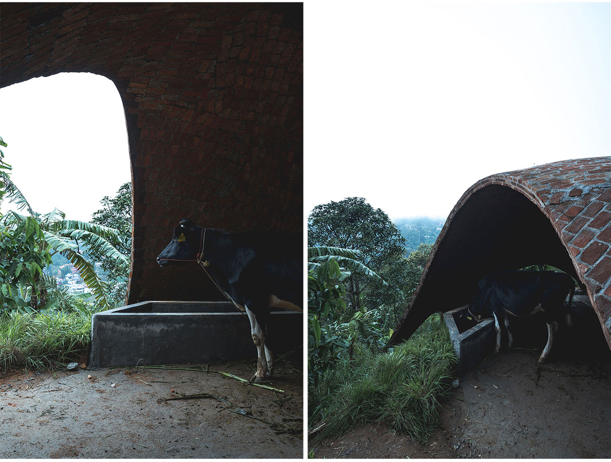Haven - The Eternal Experience Pavilion | Earthscape Studio