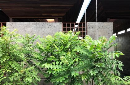 House A | Alexis Dornier