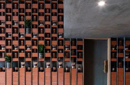 Organicare Showroom | Tropical Space